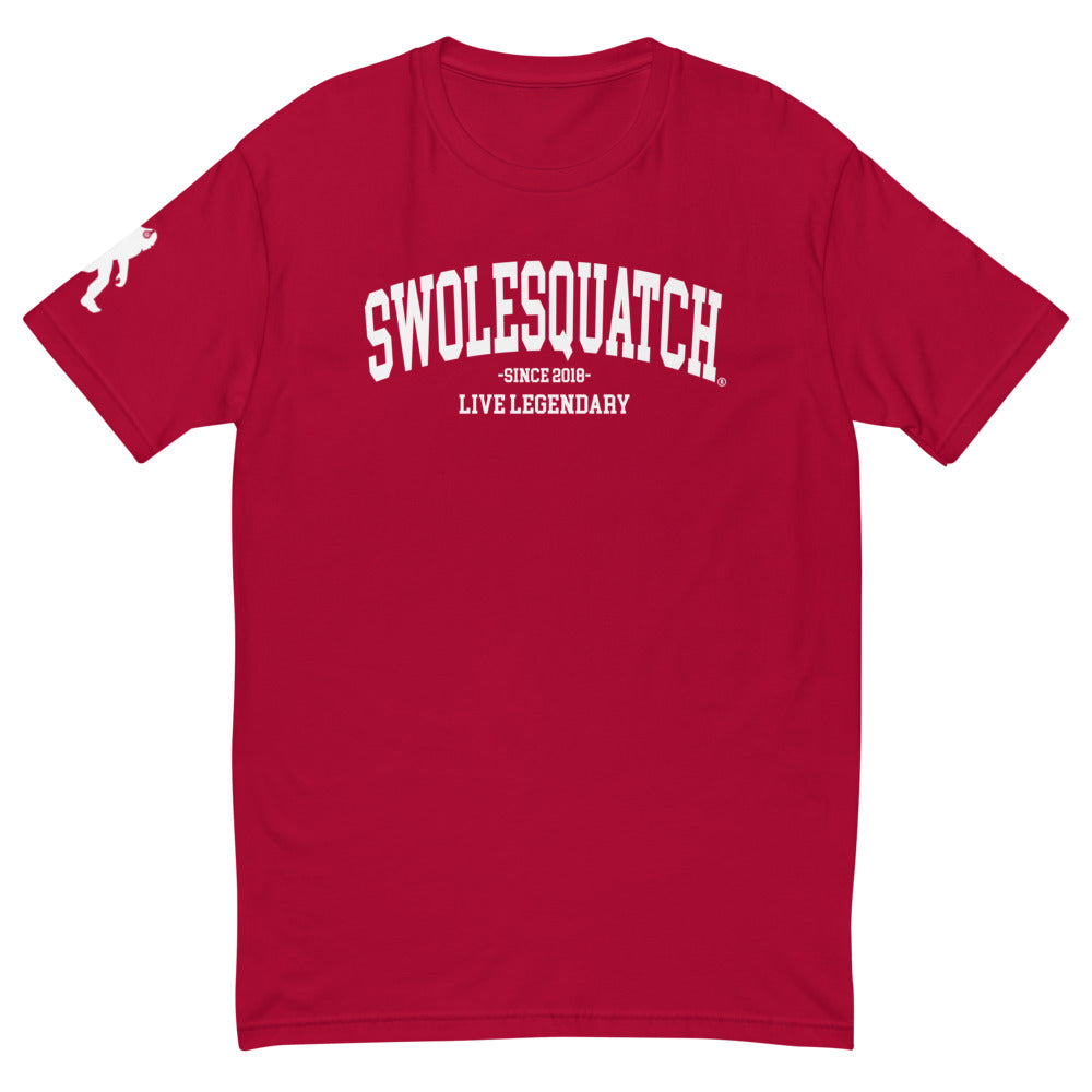 Collegiate Style Men's Fitted T-shirt