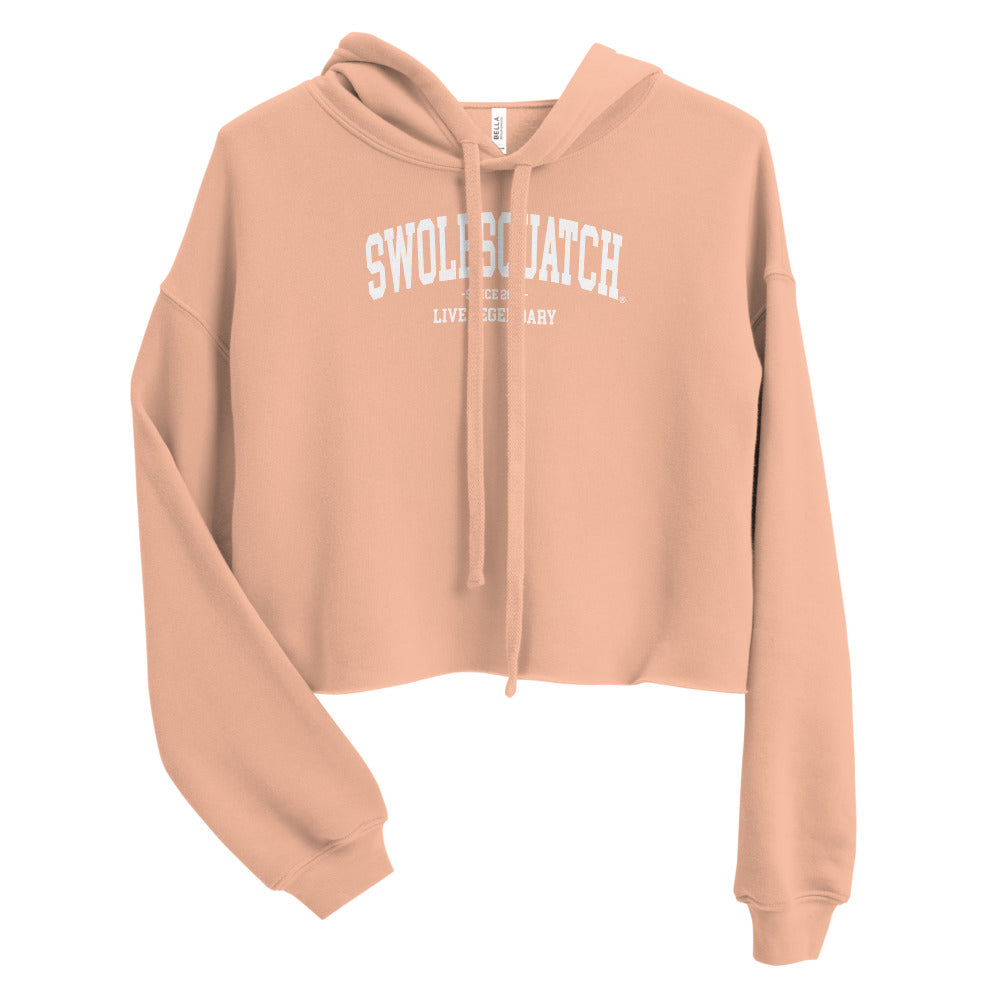 Collegiate Style Crop Hoodie