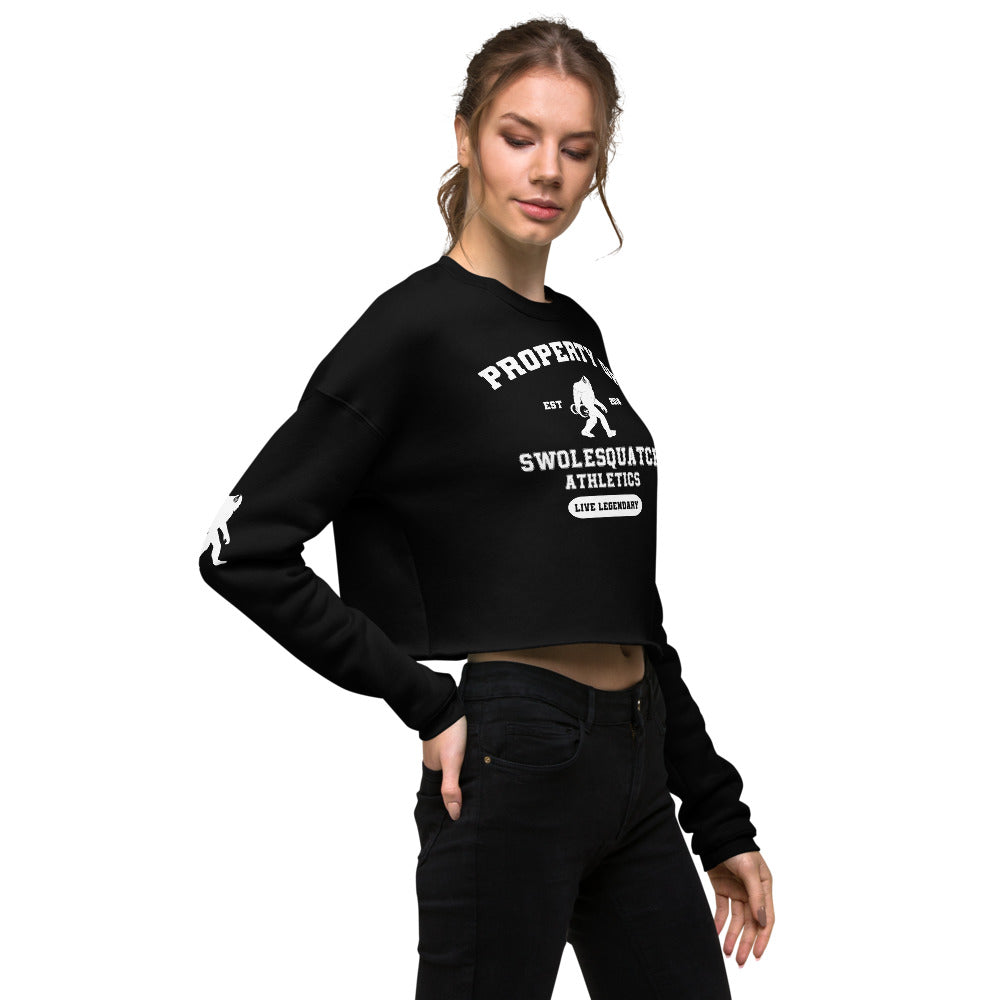 Varsity Crop Sweatshirt